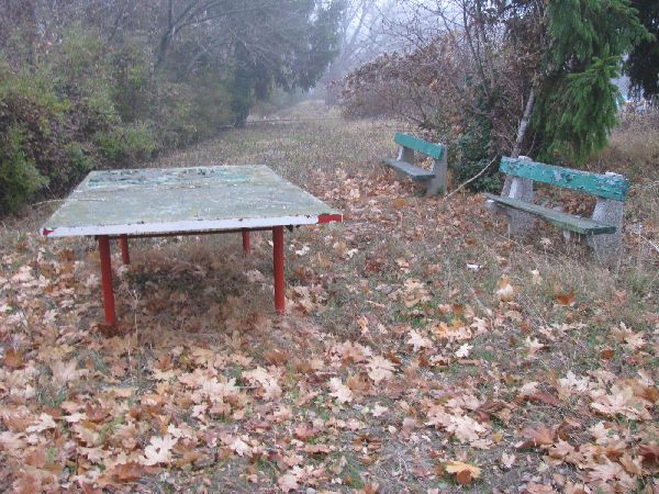 Németvölgyi Strandfürdő pingpong asztal